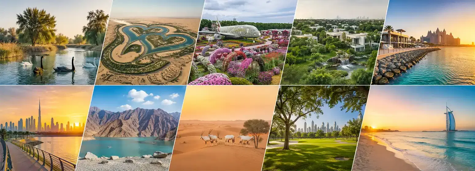 Top 10 Peaceful Places In Dubai