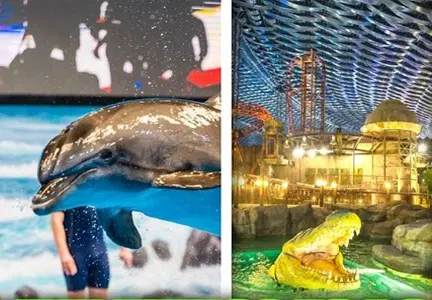 Best Places for Family and Children's Activities in Dubai