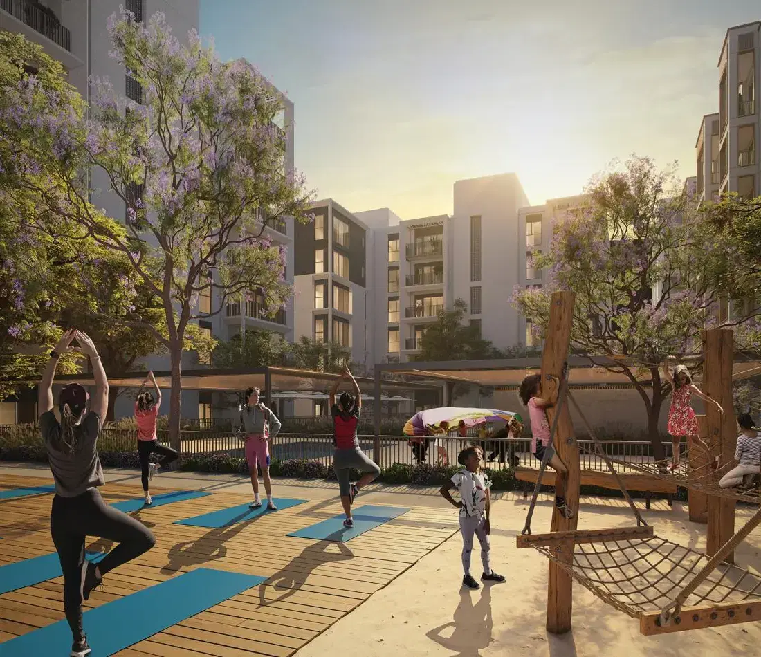 Mangrove Yoga Zone