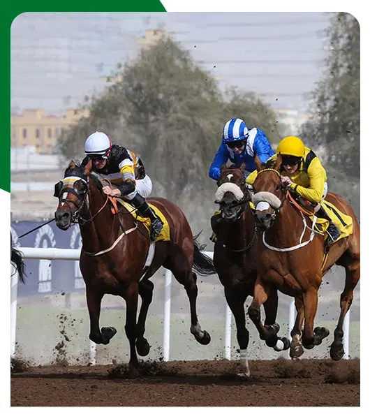 What Sports Are There In Dubai?