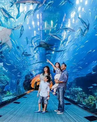 Things To Do In Dubai With Kids