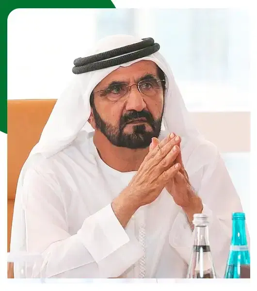 Who Developed Dubai South?