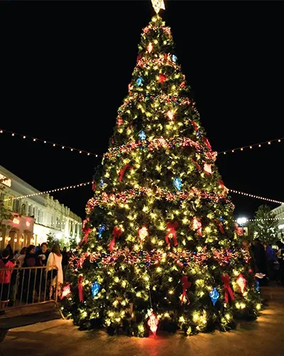 Best Places to Buy Christmas Trees in Dubai