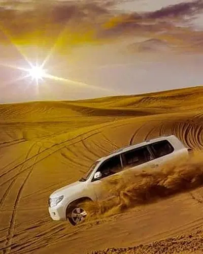 Top Things To Do In Dubai Desert