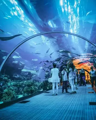 Top 10 Indoor Attractions To Visit In Dubai 