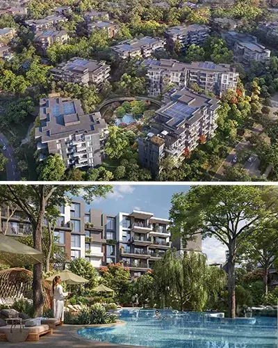 Ghaf Woods in Wadi Al Safa 4: A complete Area Guide