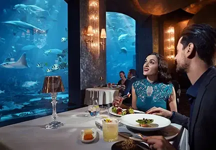 8 Best Areas To Live In Dubai For Couples