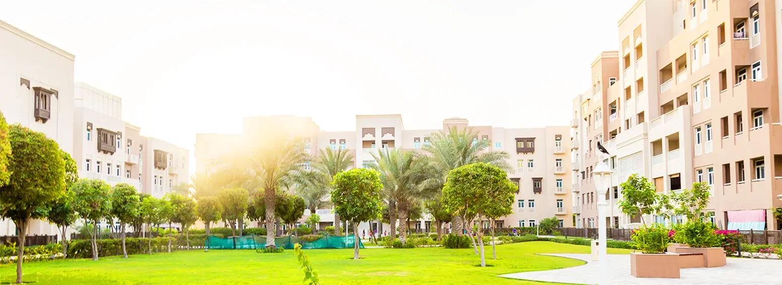 Who Is The Developer Of Al Furjan?