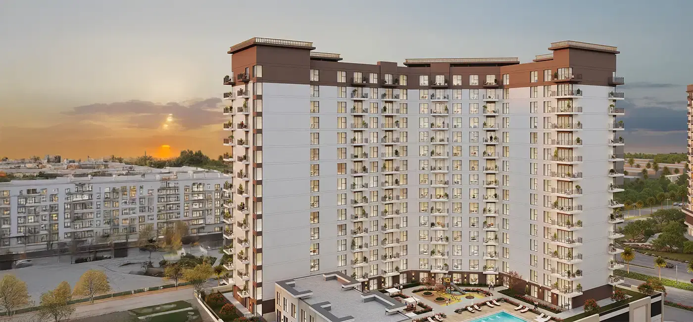 Nshama Rosewell main banner