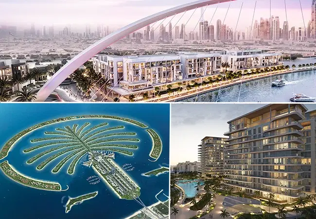 Case Study: Serenia Living Palm, Canal Front Residences, six senses and palm Jumeirah