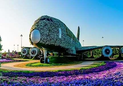 Things To Do In Miracle Garden Dubai