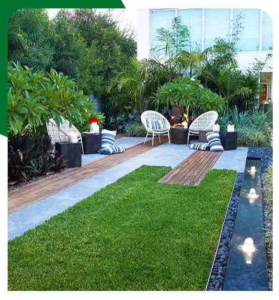 Why You Should Have Indoor Plants In Dubai ?
