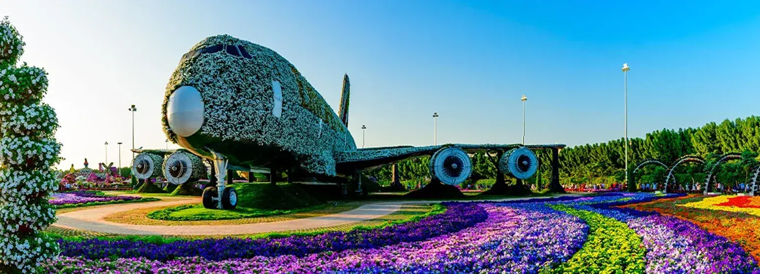 Things To Do In Miracle Garden Dubai