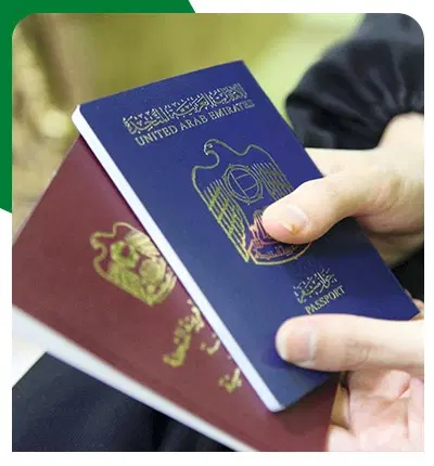  An Overview Of Dubai's Citizen Services