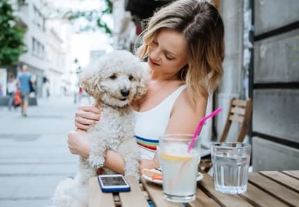 Pet Friendly Communities In Dubai: Find The Best For Your ‘Furry Friend’