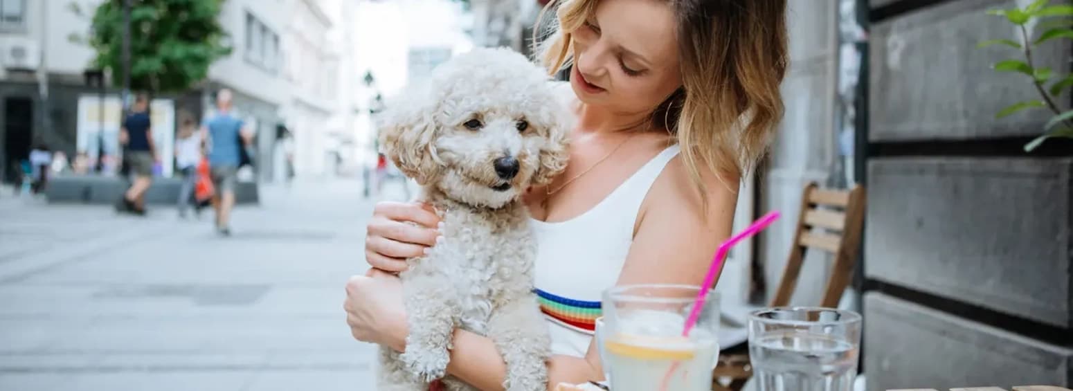 Pet Friendly Communities In Dubai: Find The Best For Your ‘Furry Friend’