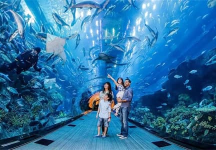 Places To Visit In Dubai With Family