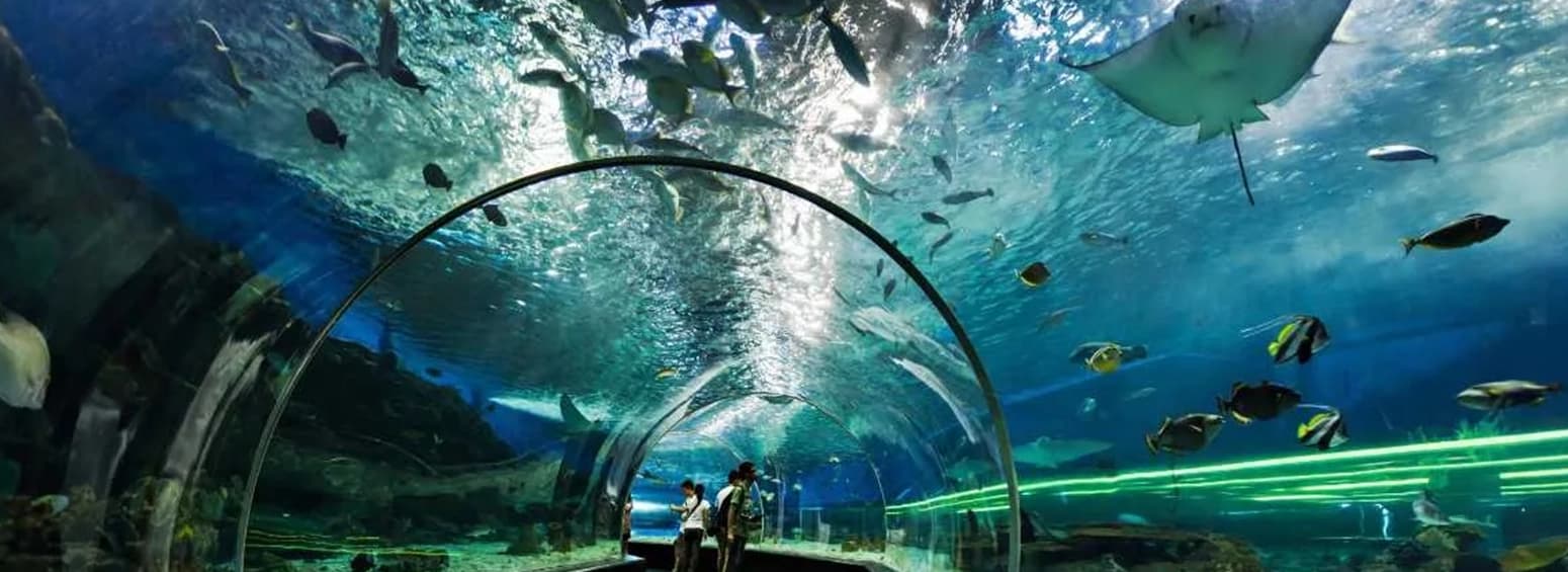 12 Places To Visit In Dubai For Free