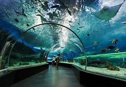 12 Places To Visit In Dubai For Free