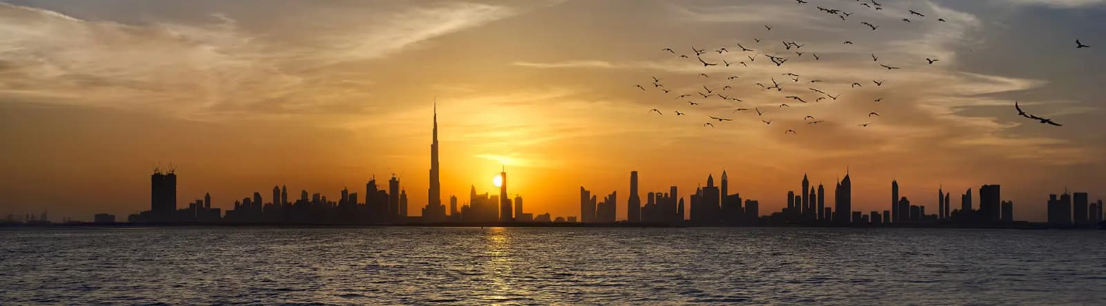 Embarking On Our Real Estate Journey From Over 2 Decades