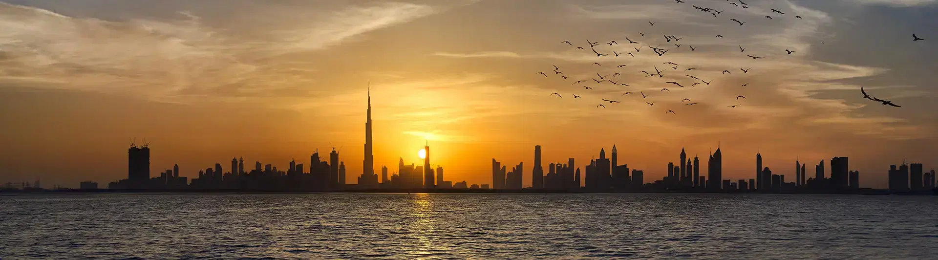 About Dubai Housing Leading Real Estate Advisory in Dubai