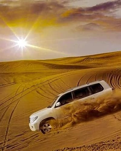 Top Things To Do In Dubai Desert