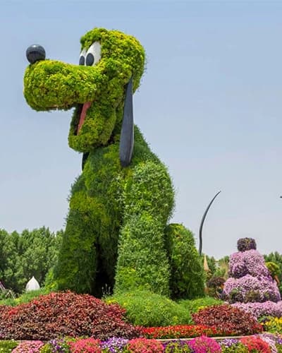 Pet Friendly Communities In Dubai: Find The Best For Your ‘Furry Friend’