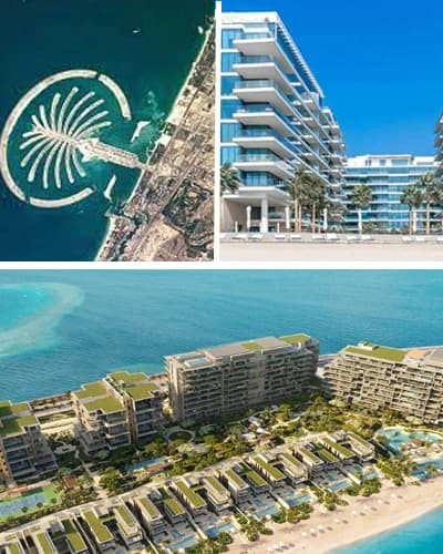 Case Study: Serenia Living Palm, Canal Front Residences, six senses and palm Jumeirah