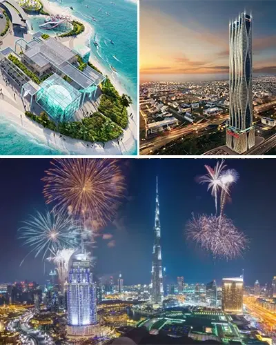 What Are Your Plans for This New Year?