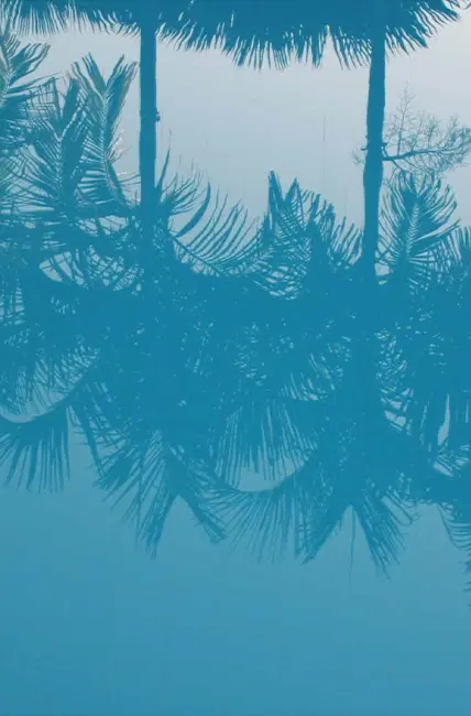 DAMAC Camelia Banner Image