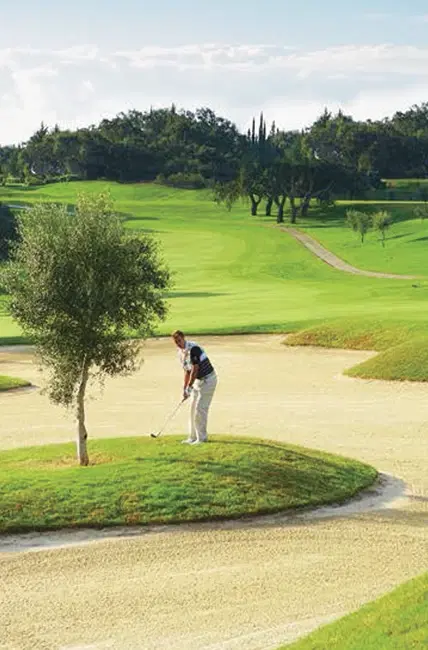 DAMAC Evo Townhomes Banner